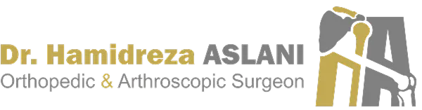 لوگو اصلانی