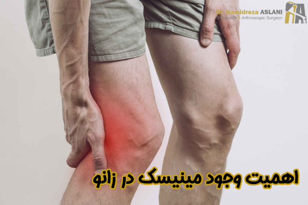 اهمیت وجود مینیسک در زانو
